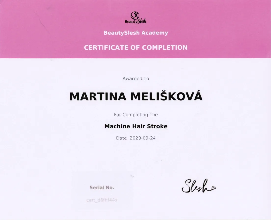 Certifikát – Machine hair stroke